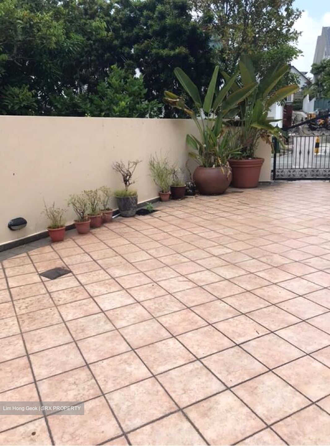 Brighton Avenue (D19), Detached #466986971